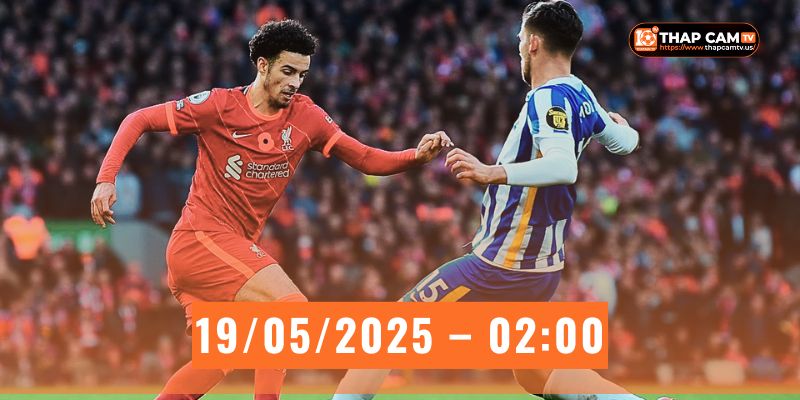 Brighton-vs-Liverpool